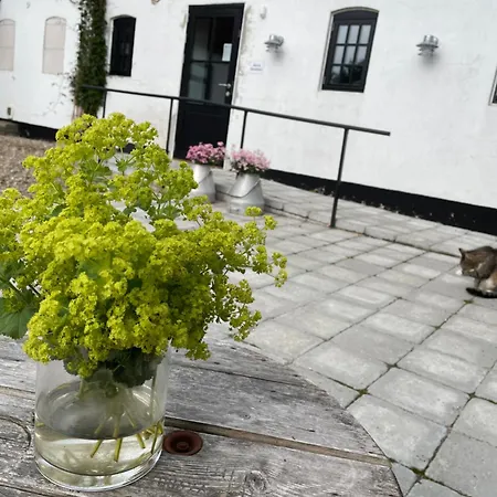 B&B Berits 하데르슬레우