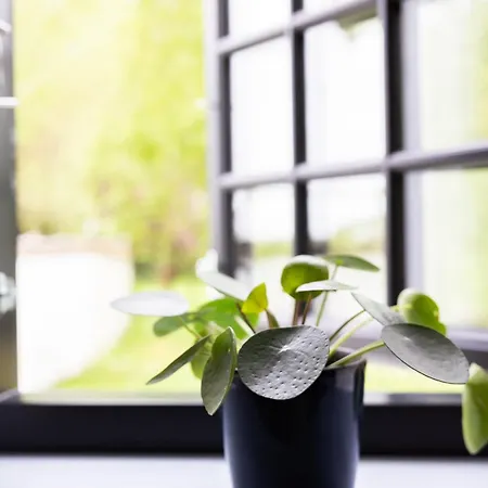 B&B Berits 하데르슬레우